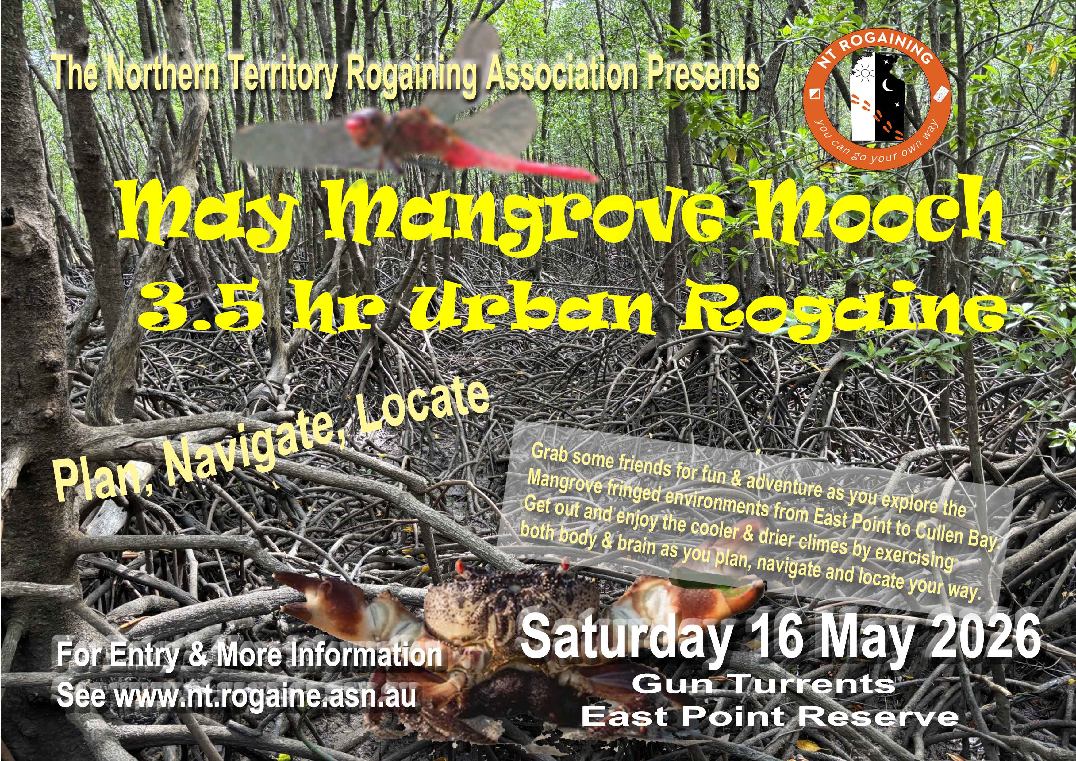 Flyer